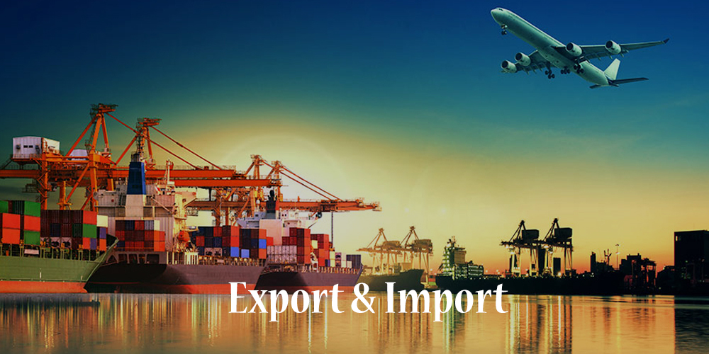 Export & Import