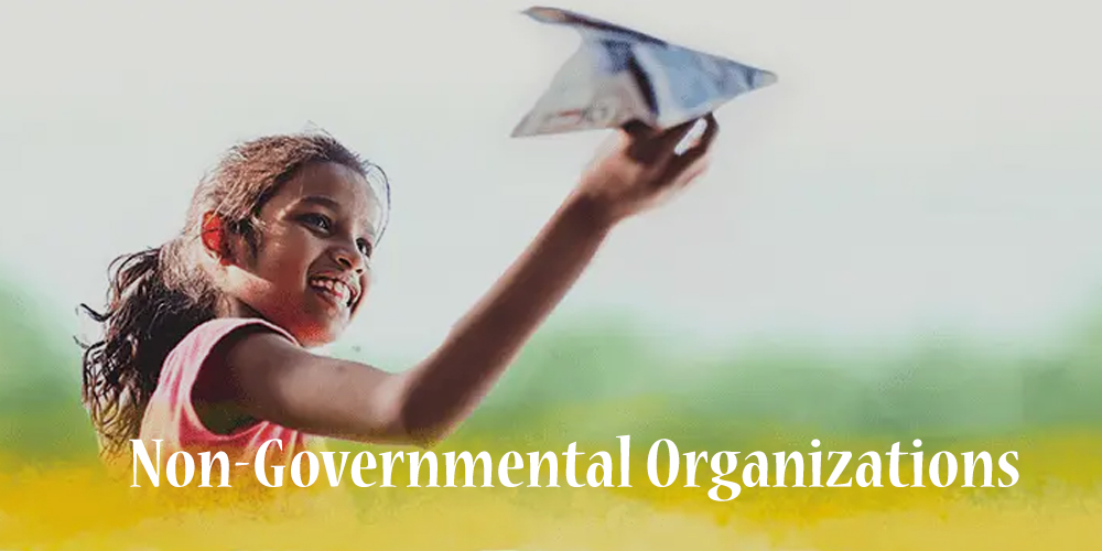 Non-Governmental Organizations